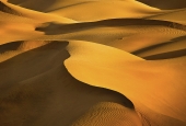 IIP Online Student Photography